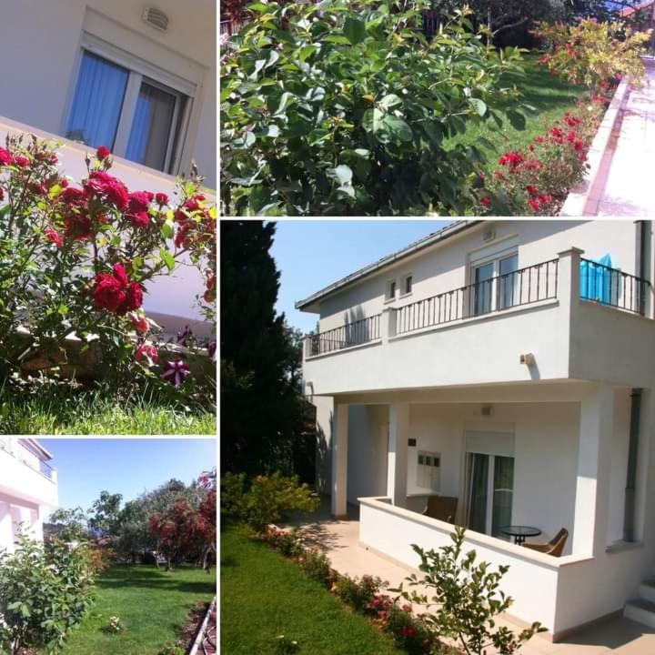 Villa Markic Drvenik  Eksteriør billede